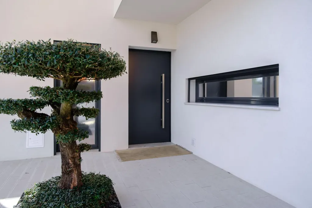 Villa entrance with ornamental olive tree